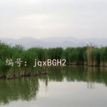 Ŀ